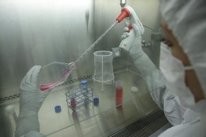 Warszawski Uniwersytet Medyczny