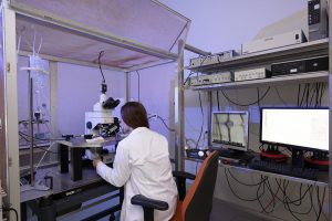 Warszawski Uniwersytet Medyczny