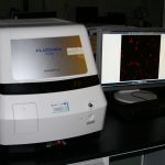 Zestaw do mikroskopii fluorescencyjnej ze wzbudzeniem laserowym o przestrajalnych długościach fal